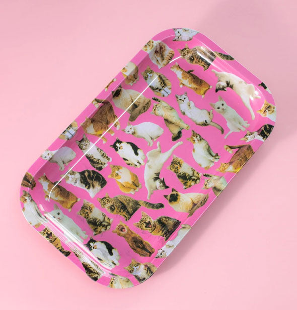 Rectangular pink tray with rounded corners features all-over photos of cats in various poses