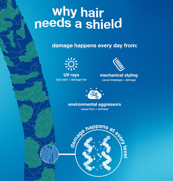 An illustrated magnified hair fiber is labeled, "Why hair needs a shield" with various components of hair damage itemized: UV rays, mechanical styling, and environmental aggressors
