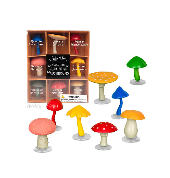 A Collection of Mini Mushrooms shown in and out of packaging