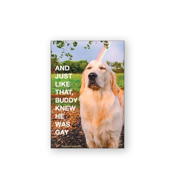 Rectangular magnet with image of a golden retriever against a rural landscape with a rainbow appearing to touch his head says, "And just like that, buddy knew he was gay" in white lettering