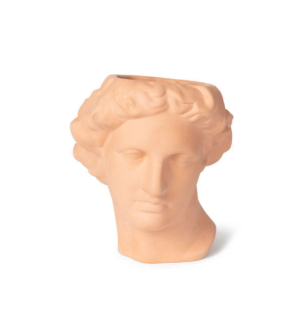 Terracotta Apollo head vase