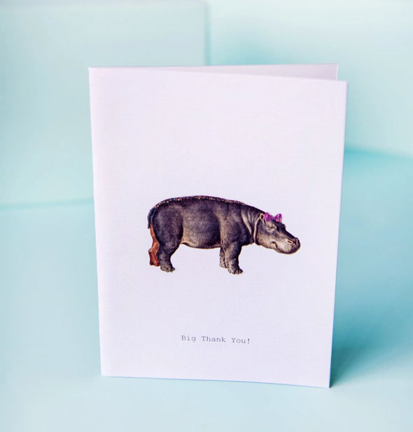 White greeting card with illustration of a hippopotamus says, "Big Thank You!" at the bottom