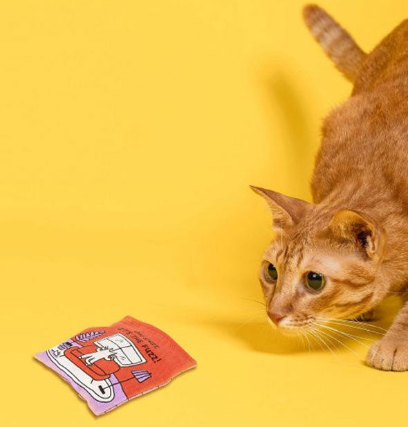 Orange tabby cat stalks the Busted! catnip pouch on a bright yellow backdrop