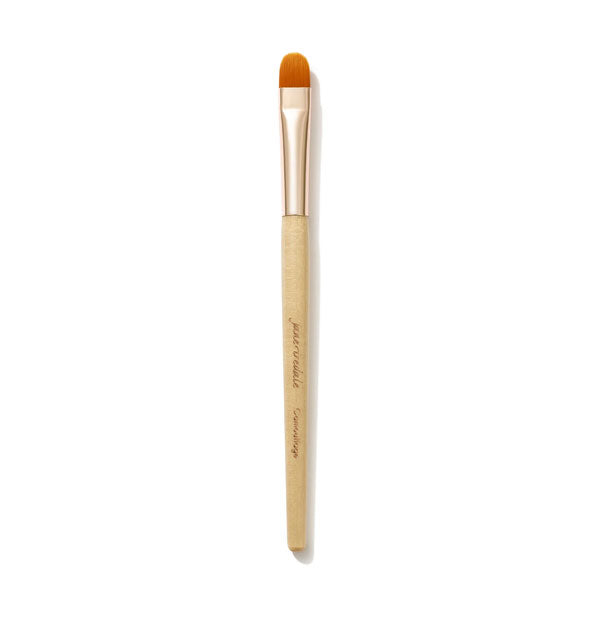 Jane Iredale Camouflage Brush with wooden handle, gold ferrule, and small rounded amber-colored bristles