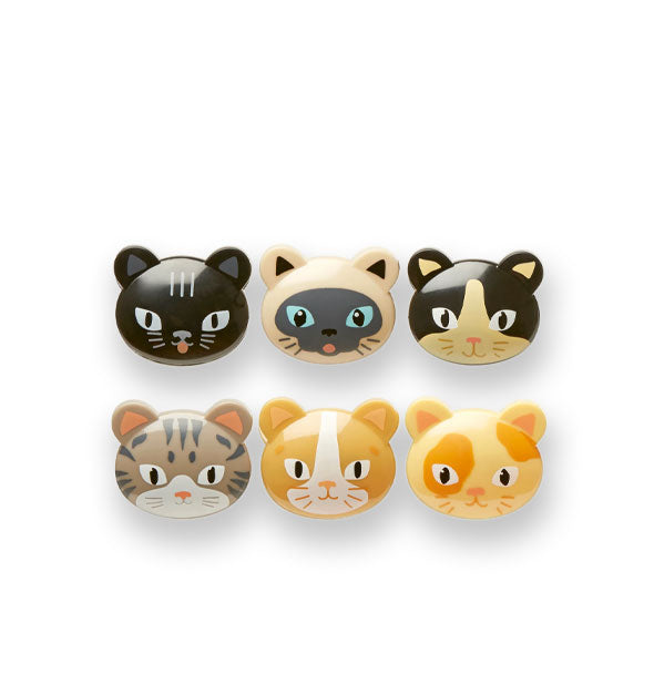 Set of six bag clips designed to resemble cat faces of varying colorations and breeds