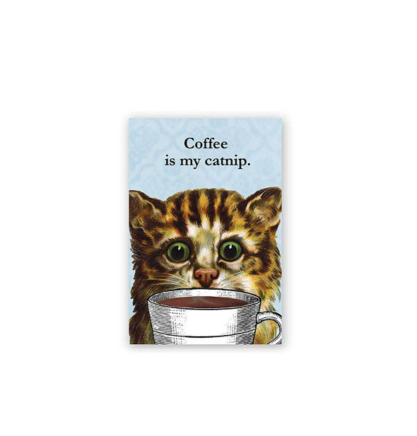 Rectangular blue magnet features illustration of a wide-eyed cat peering into a white mug filled with a steamy beverage says, "Coffee is my catnip."
