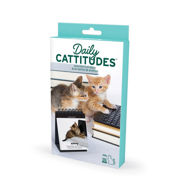 Daily Cattitudes Desktop Flip Book packaging depicts two kittens posed at a computer keyboard