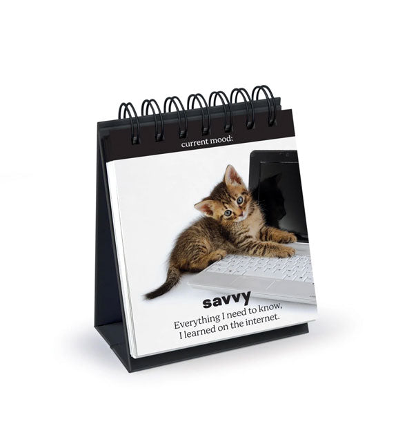 Daily Cattitudes Desktop Flip Book is turned to a page that reads, "Savvy: Everything I need to know, I learned on the internet" underneath an image of a kitten resting on a laptop keypad