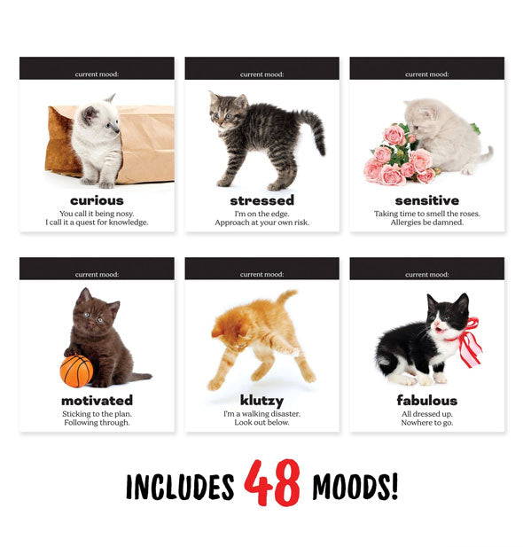 Daily Cattitudes Desktop Flip Book "includes 48 moods!" Shown here are Curious, Stressed, Sensitive, Motivated, Klutzy, and Fabulous