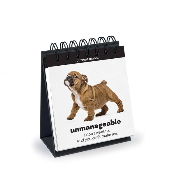 Daily Doggo Desktop Flip Book features a page that reads, "Unmanageable: I don't want to. And you can't make me" underneath a defiant-looking brown and white bulldog puppy