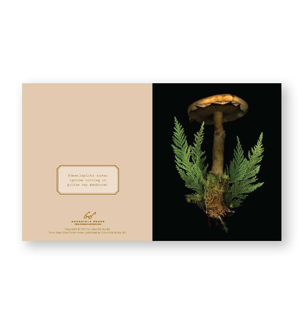 Sample notecard from the Deep Dark Forest Notes set features a mushroom flanked by green ferns