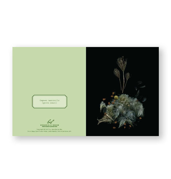 Sample notecard from the Deep Dark Forest Notes set features a mossy arrangement