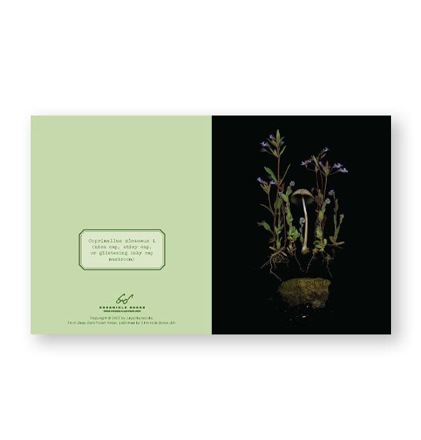 Sample notecard from the Deep Dark Forest Notes set features mushroom, wildflowers, and earth clod