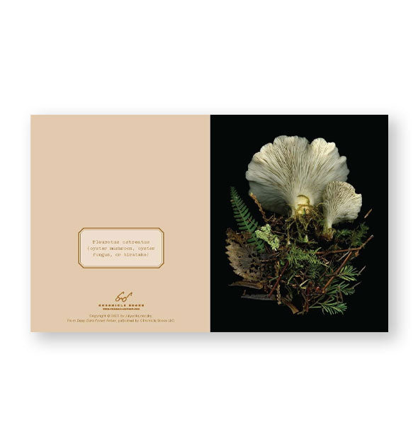 Sample notecard from the Deep Dark Forest Notes set features a frilly white mushroom surrounded by rustic greens