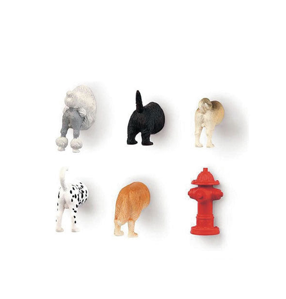 Set of six magnets resembling five different dog breeds' behinds plus a red fire hydrant