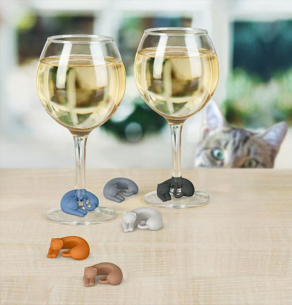 Six silicone curled-up cat wine glass markers on a tabletop with two glasses of white wine and a cat peering out playfully in the background