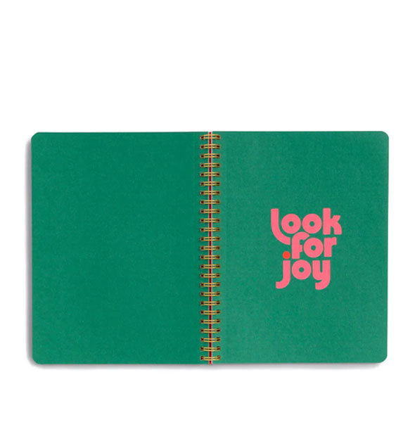 Open notebook with spiral-bound green centerfold pages, one of which says, "Look for joy" in pink lettering