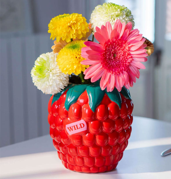 Red raspberry vase holds an assortment of big blooms