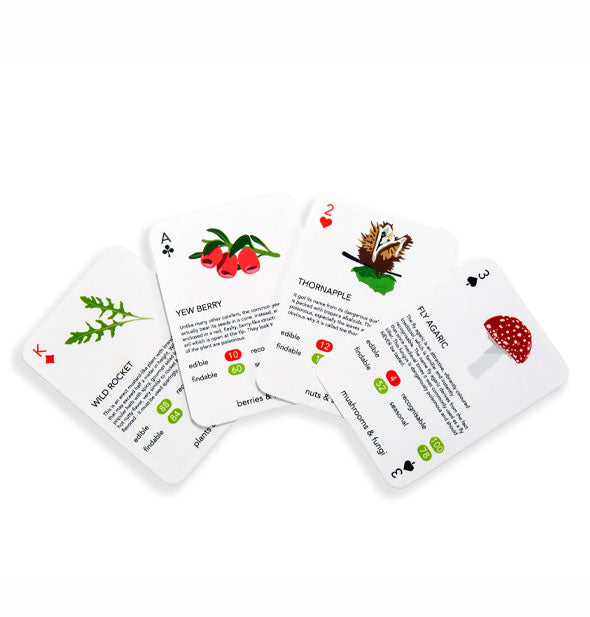 Sample hand from the Foragers Playing Cards deck features Wild Rocket, Yew Berry, Thornapple, and Fly Agaric