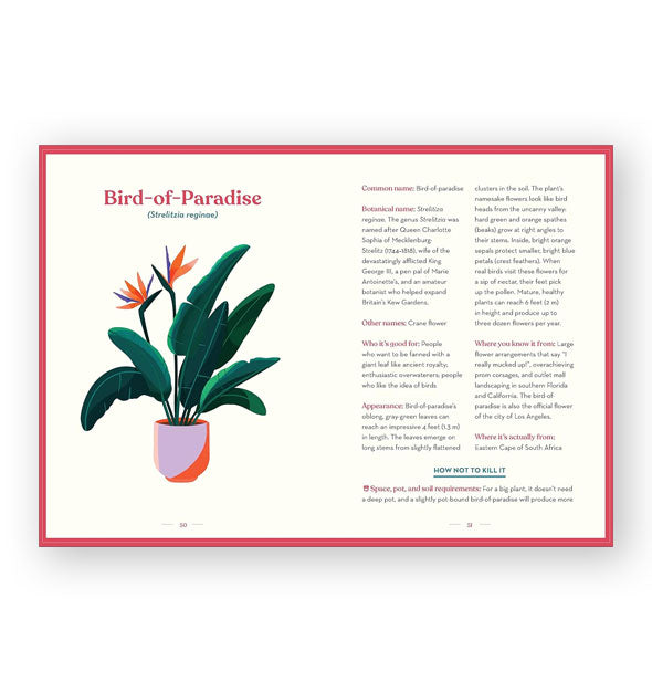 Page spread from The Green Dumb Guide to Houseplants features a section titled, "Bird-of-Paradise" with illustration of the plant