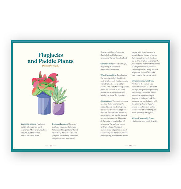 Page spread from The Green Dumb Guide to Houseplants features a section titled, "Flapjacks and Paddle Plants" with illustrations