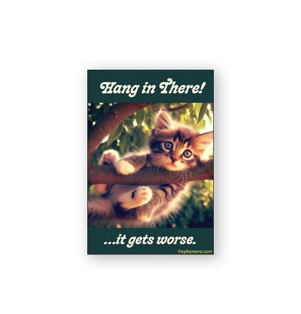 Rectangular magnet with an image of a striped kitten clinging to a tree branch says, "Hang in There! ...it gets worse."