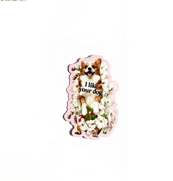 Sticker with image of a brown and white smiling Corgi on a floral and pink backdrop says, "I like your dog" in black lettering