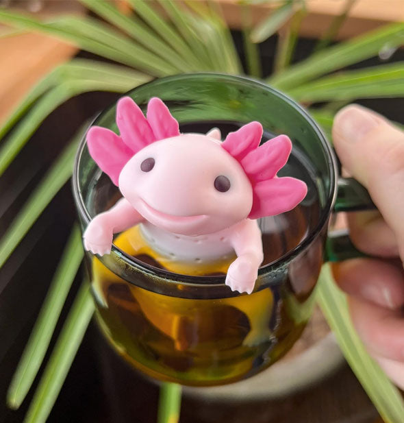 Smiling pink silicone axolotl tea infuser is positioned with its arms on the rim of a clear glass mug held above a houseplant in the background