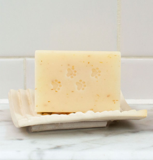 Paw print-stamped bar of soap on a soap dish on a marble and tile backdrop