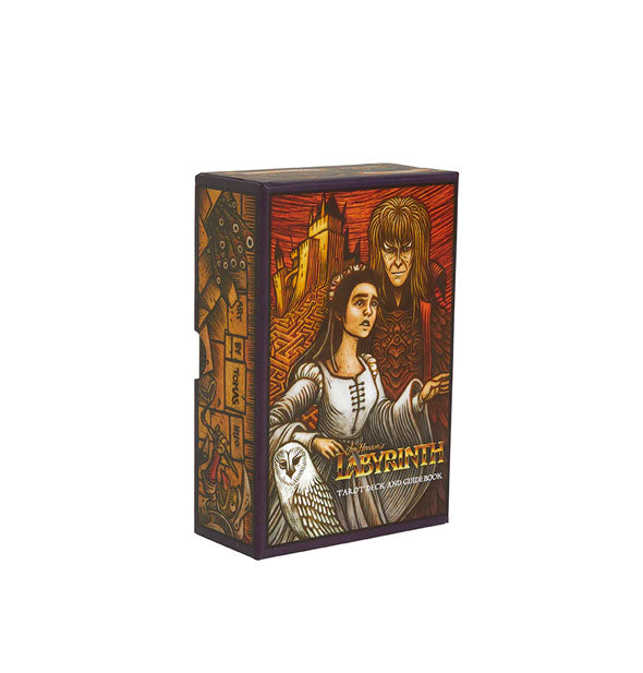 Intricately illustrated Labyrinth Tarot Deck and Guidebook box