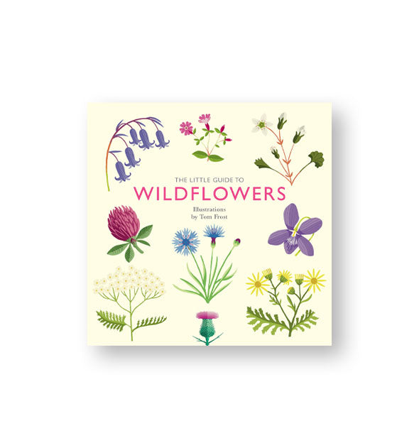 Pale yellow cover of The Little Guide to Wildflowers features colorful floral illustrations