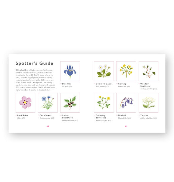 Page spread from The Little Guide to Wildflowers features a Spotter's Guide section with colorful illustrations