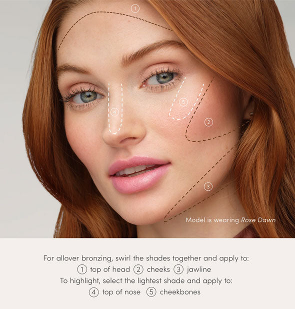 Model wearing Rose Dawn option of Jane Iredale PureBronze Quad Shimmer Bronzer is diagrammed with suggested usage