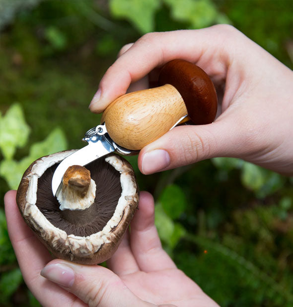 Model demonstrates how to use the blade of a Mushroom Tool Keychain on a foraged mushroom