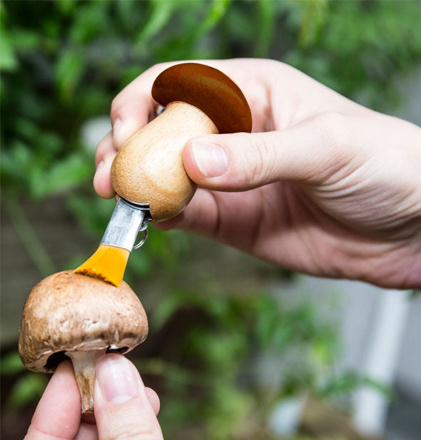 Model demonstrates how to use the brush of a Mushroom Tool Keychain on a foraged mushroom