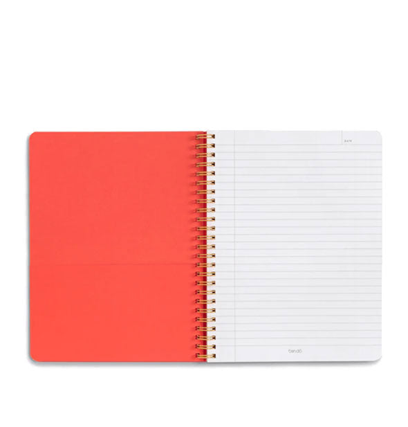 Open notebook with spiral-bound lined and red pocket pages