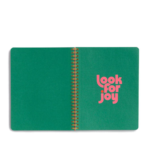 Open notebook with spiral-bound green centerfold pages, one of which says, "Look for joy" in pink lettering