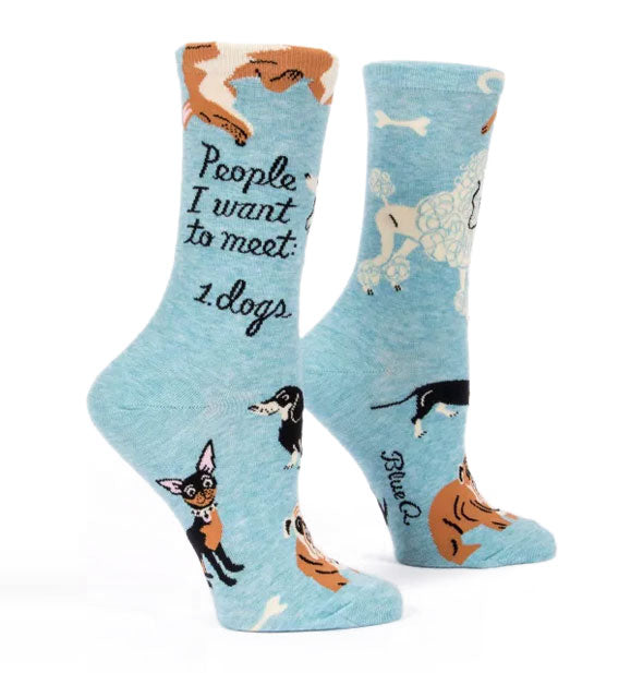 Blue crew socks with illustrations of various dog breeds say, "People I want to meet: 1. Dogs" in black script