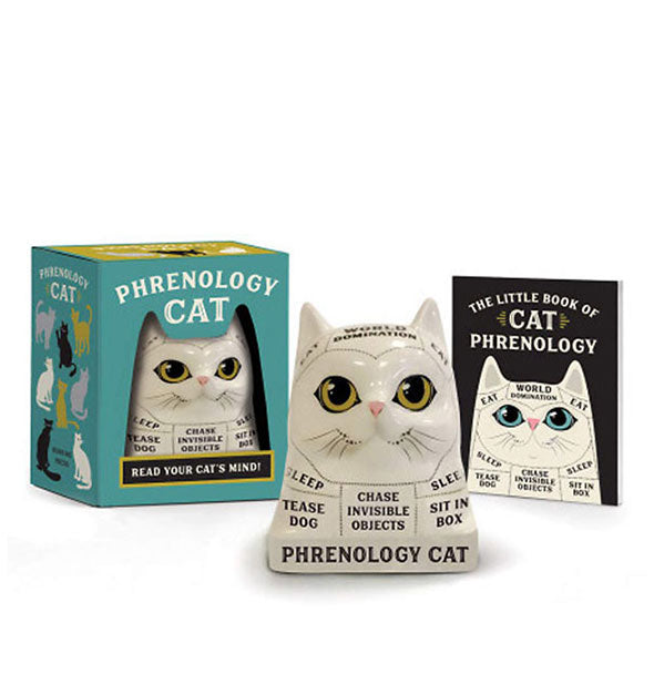 White ceramic Phrenology Cat bust with booklet and box