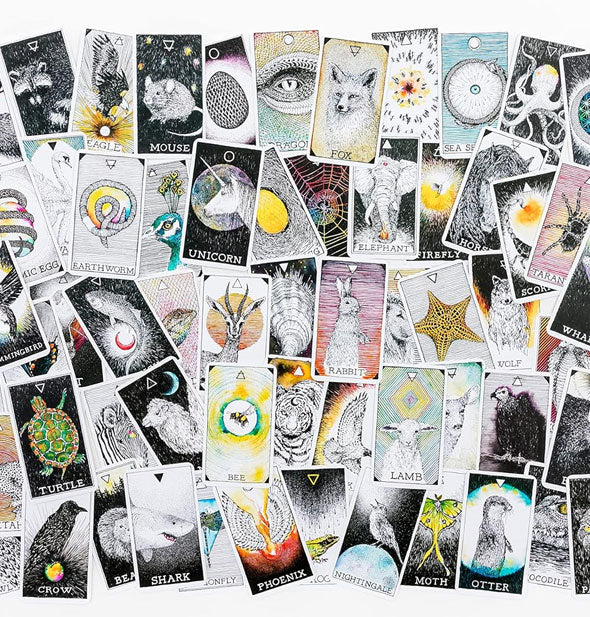 Large spread of Animal Spirit cards