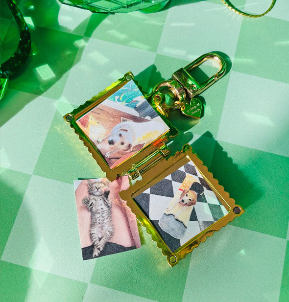 Ravioli locket keychain is shown open with pictures of a dog cut to size inside and a picture of a kitten nearby