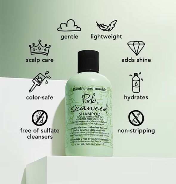 Bottle of Bumble and bumble Seaweed Shampoo is surrounded by infographics representing its major benefits