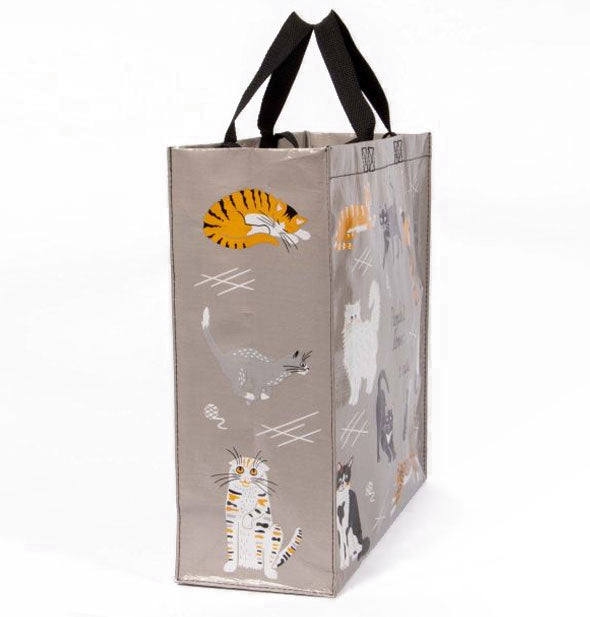 Side panel of cats tote bag