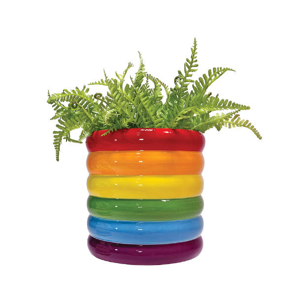 Vase with ribbed rainbow-colored stripes in red, orange, yellow, green, blue, and purple holds a fern plant