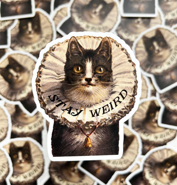 Stay Weird cat sticker in the forefront of a smattering of others like it blurred in the background