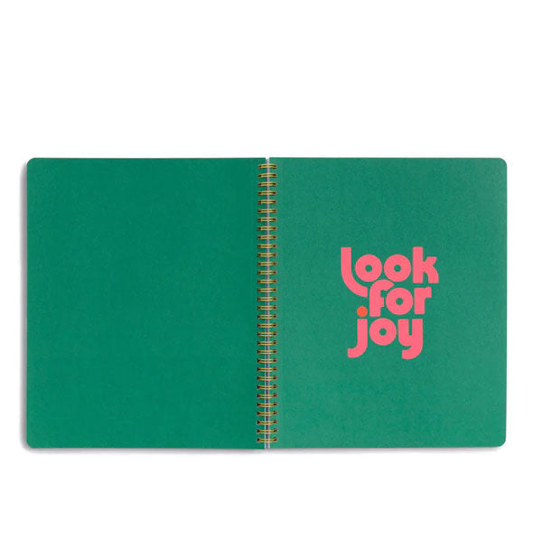 Wire-bound notebook interior with green centerfold pages, the right one of which says, "Look for joy" in pink lettering