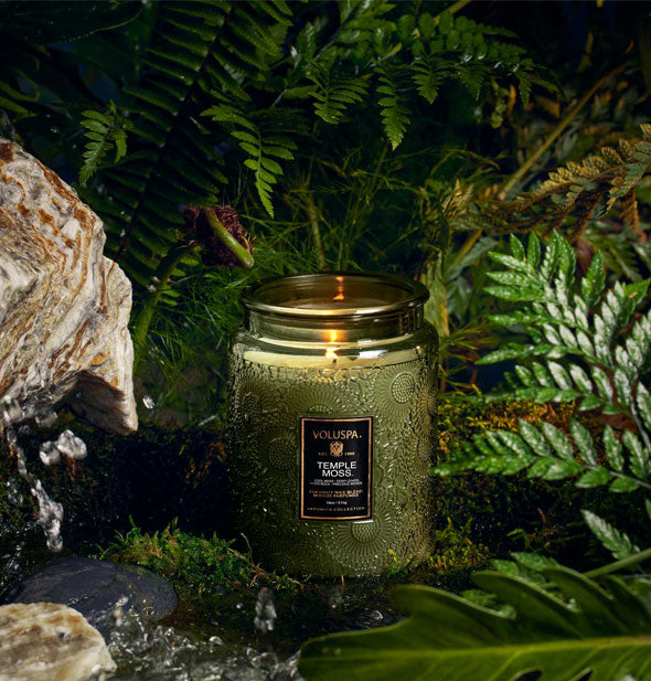 Green glass Voluspa Temple Moss candle staged in a lush jungle setting
