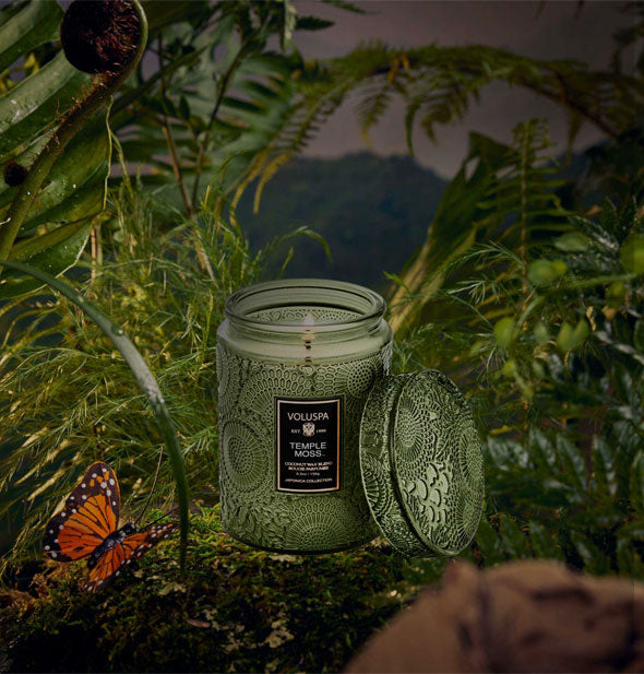 Green glass Voluspa Temple Moss Candle staged in a lush jungle setting