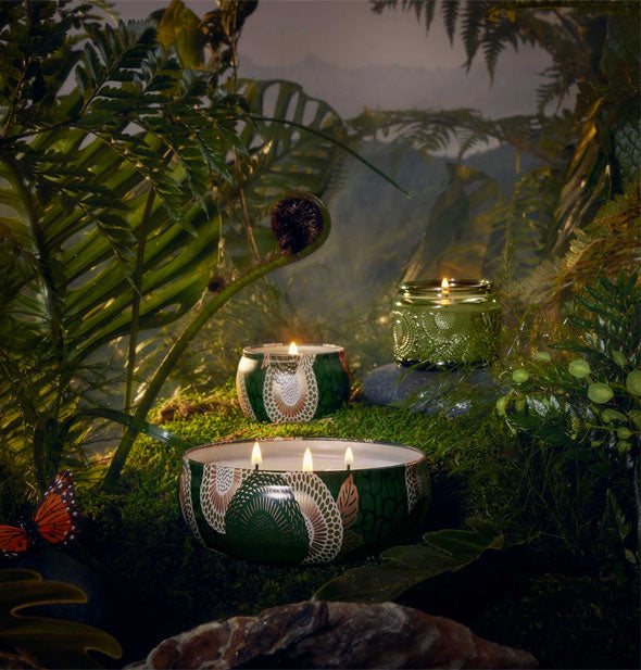 Two tin and one embossed glass Voluspa candles staged in a lush jungle setting