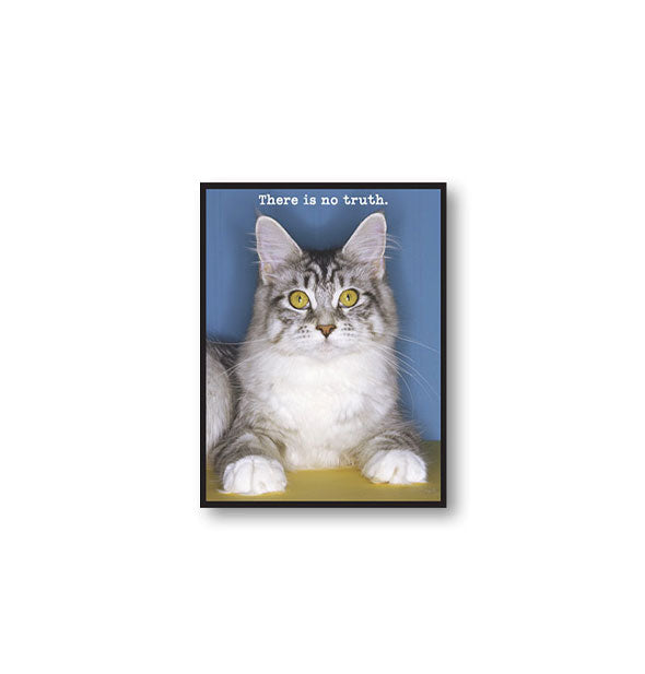 Rectangular magnet with image of a wide-eyed cat says, "There is no truth."